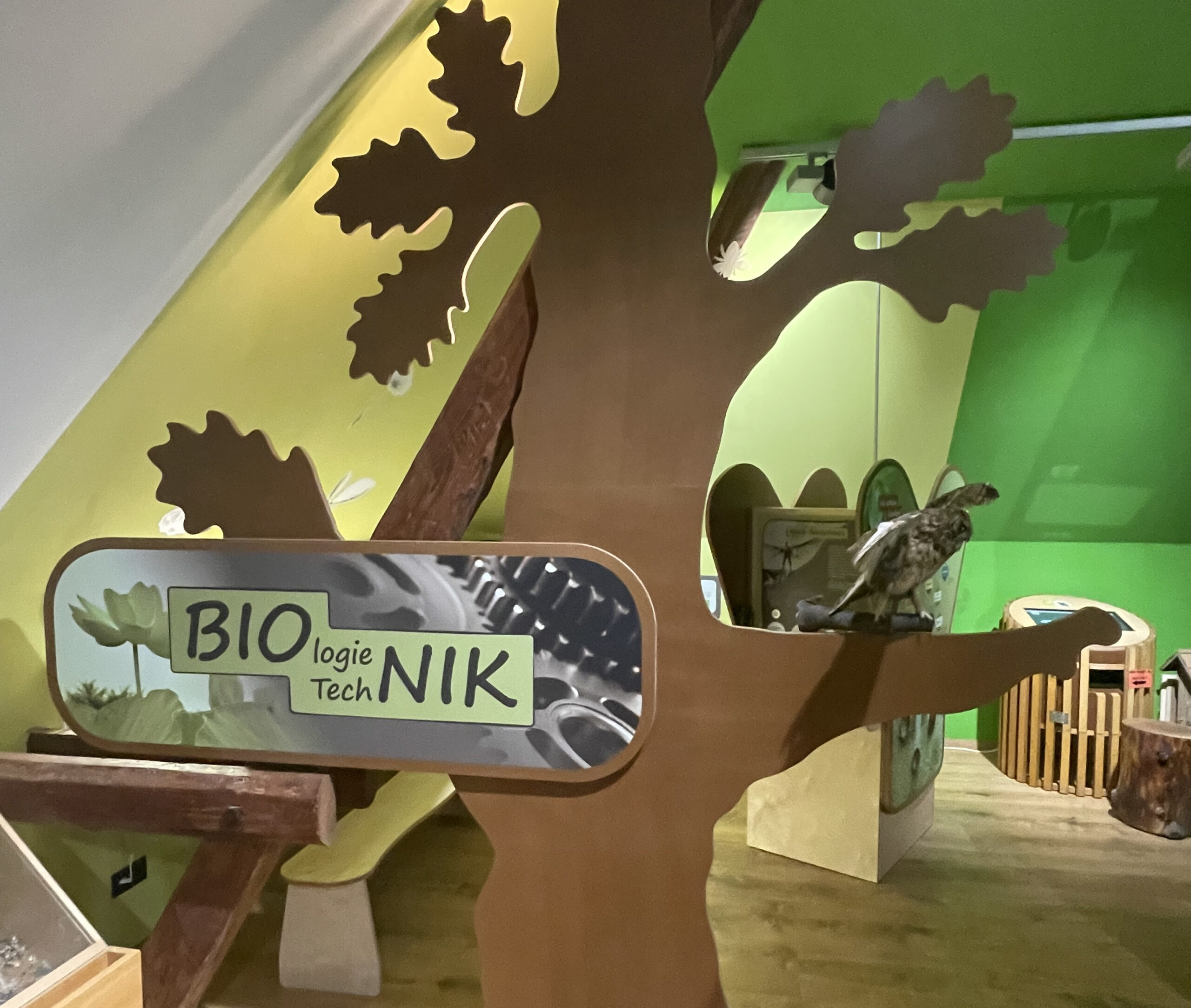 Bionik Ausstellung 2 signatur - wissenerleben LIZ Bionik (11)